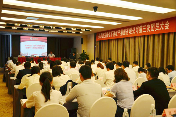 1111-地产集团第三次团员大会.JPG