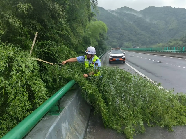 05 台风格美登陆在即，7月26日 六安西中心管控部巡路员柴梦麒清理侵占路面的毛竹(1).png